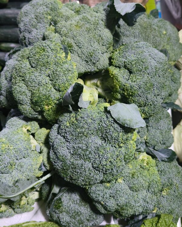 Brocolli Trimmed 3