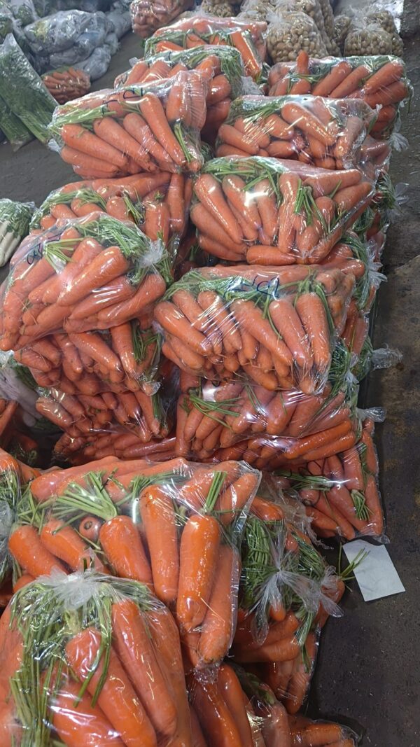 Carrots 2