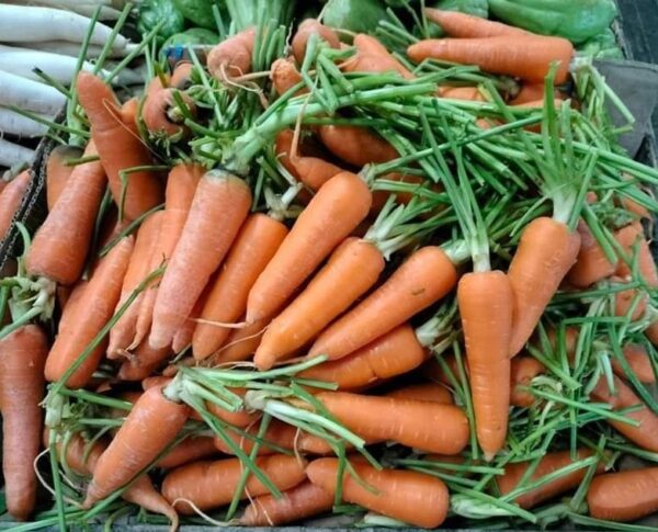 Carrots 3