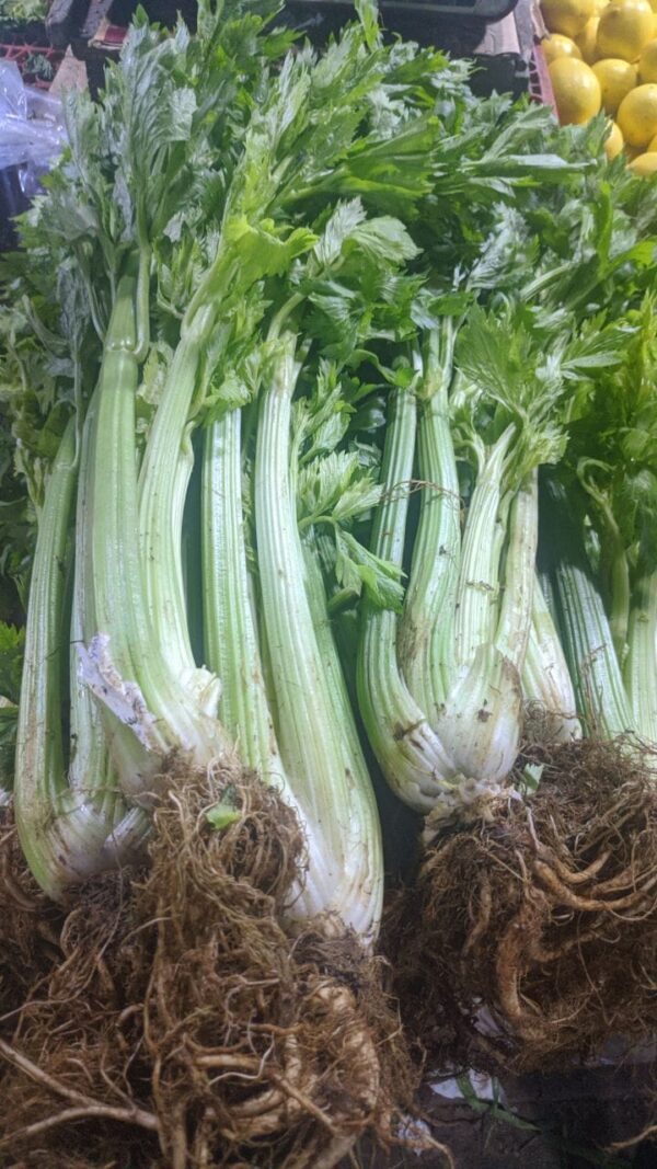 Celery