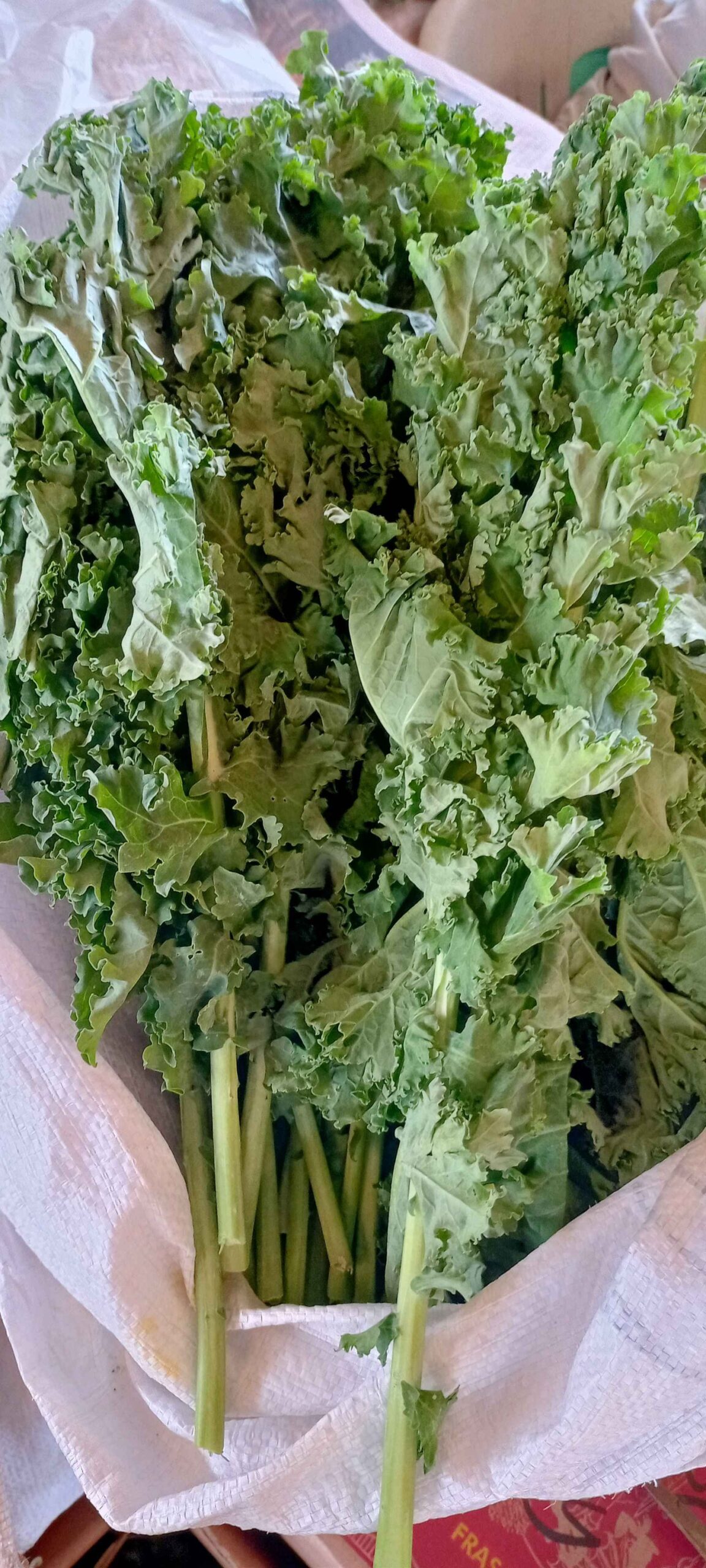 Kale
