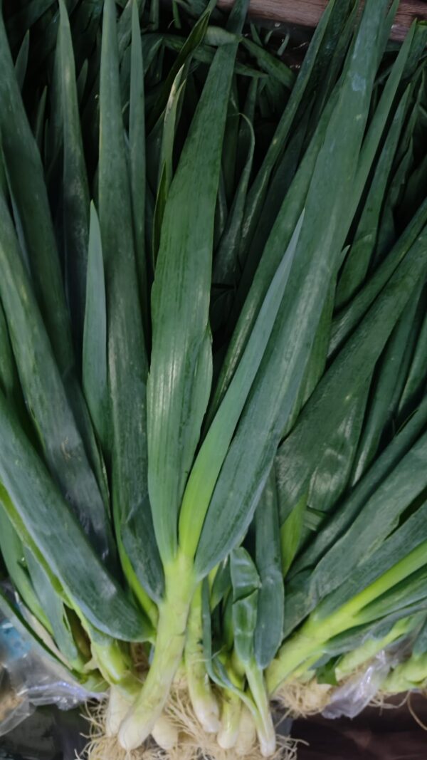 Leeks 2