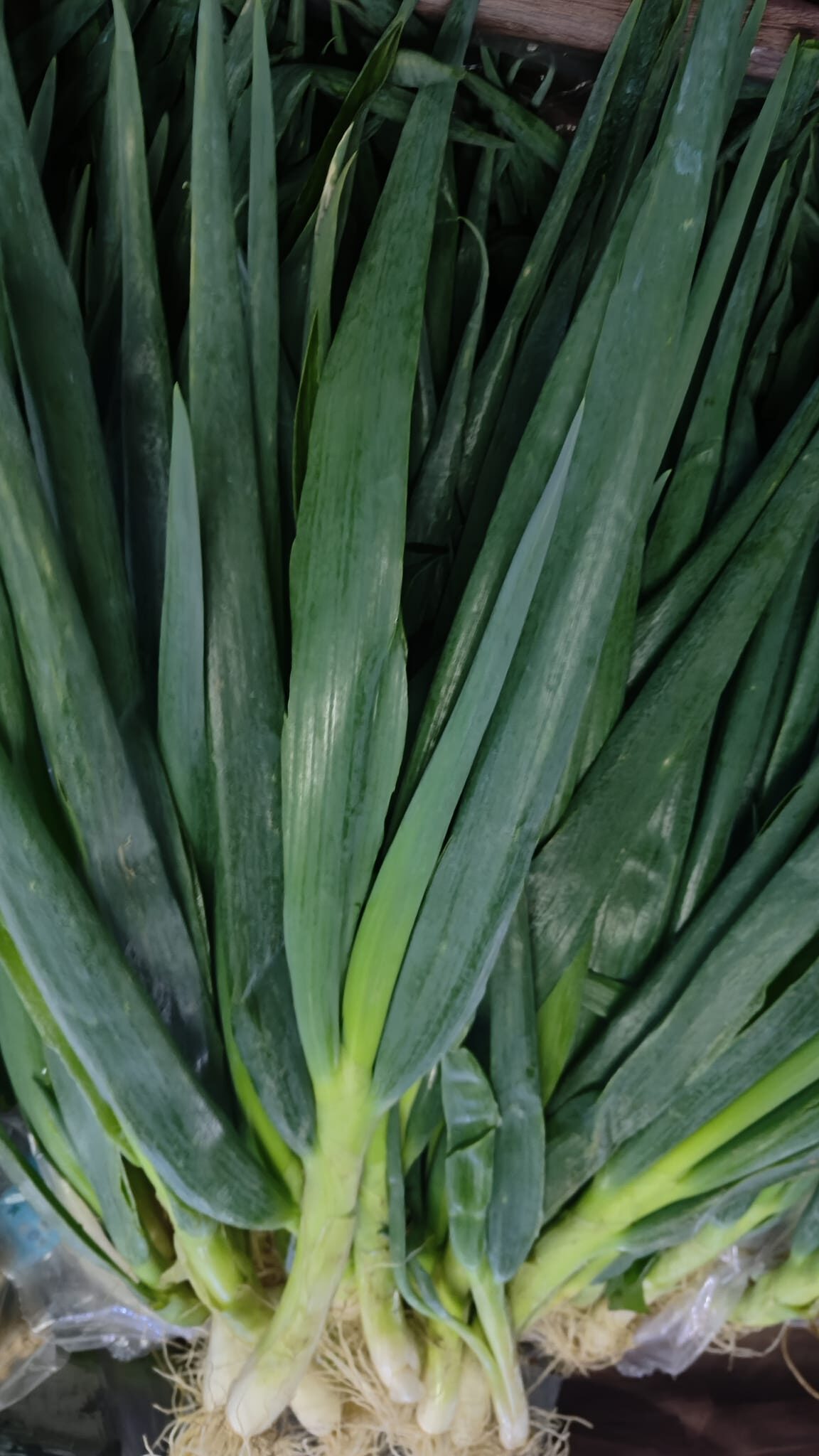 Leeks