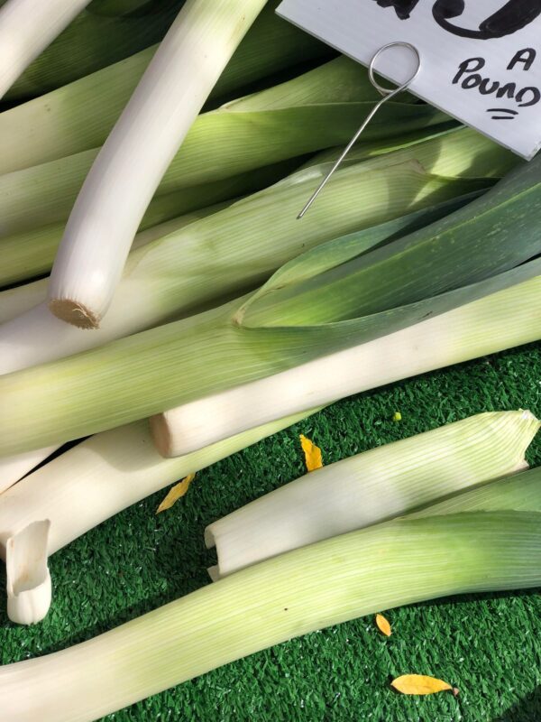 Leeks 3
