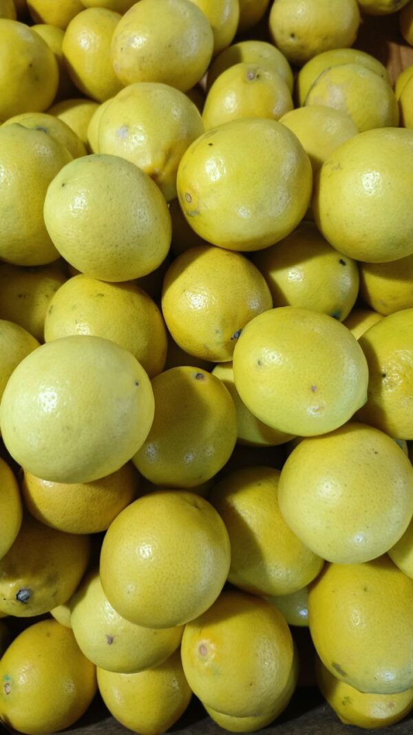 Lemon 4