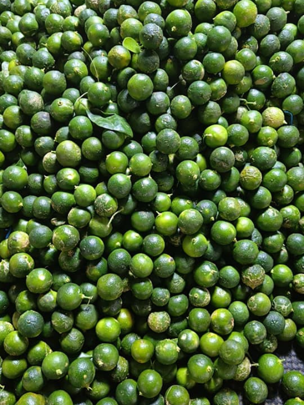 Calamansi (Product Weight: 10kg)