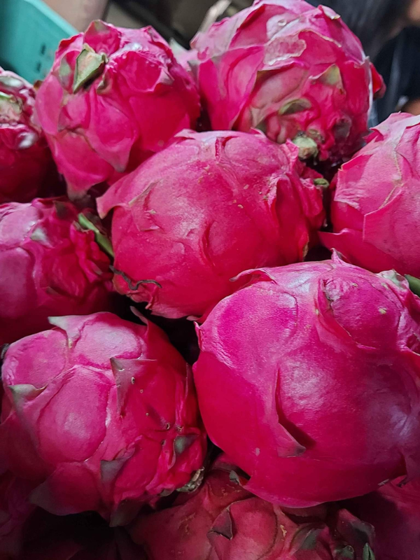 Dragon Fruit