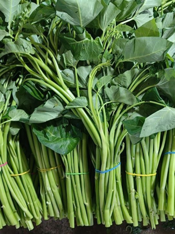 Kangkong (per bundle)