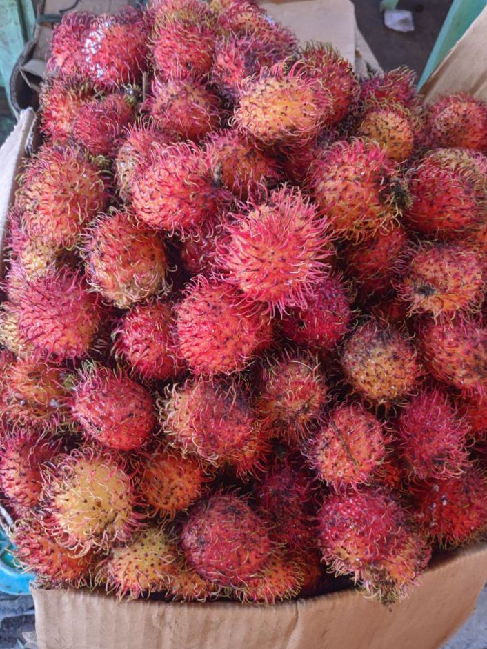 Rambutan