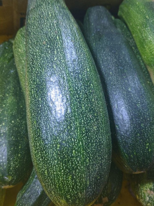 Zucchini